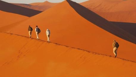 WILD NAMIBIA